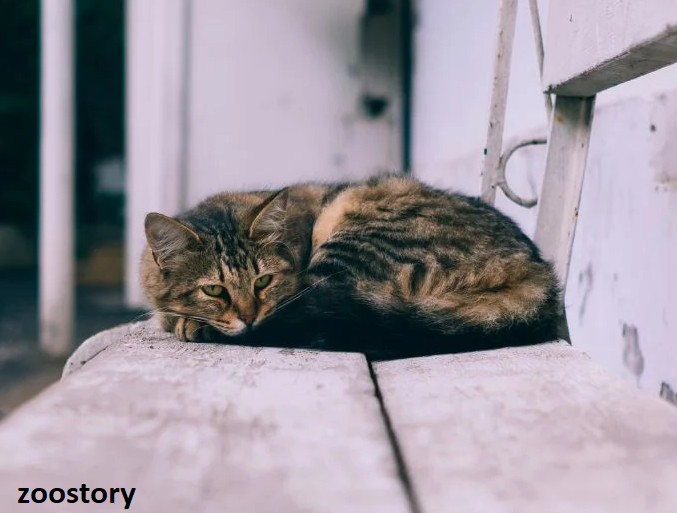 ИСТОЧНИК: UNSPLASH - ДЖАВИД БУНЬЯДЗАДЕ
