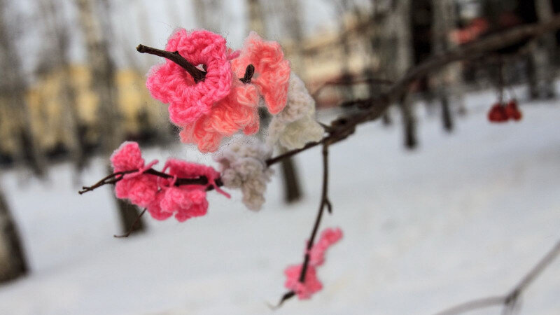     Вязаный стрит-арт в Барнауле. Анна Зайкова