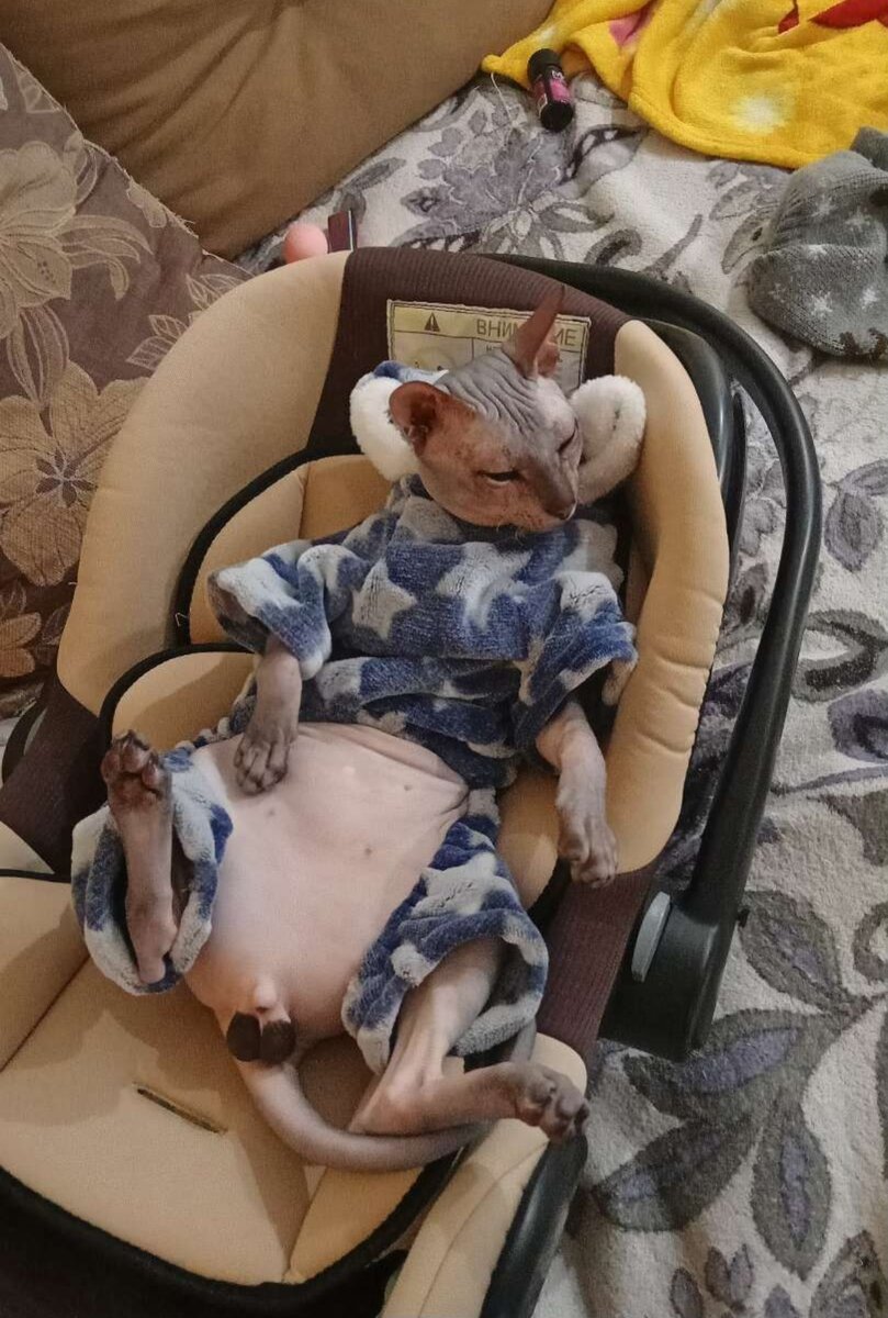 Тот самый красавчик с авито, с черной меткой😉