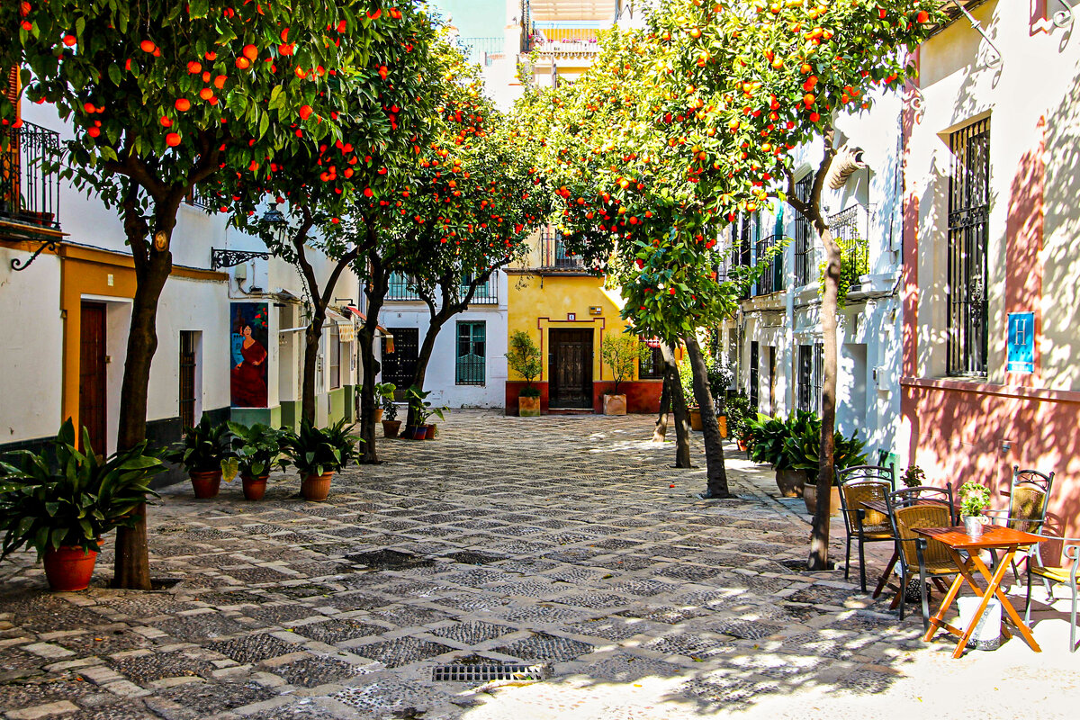 Знакомство с самыми популярными районами Севильи среди туристов | Время ...