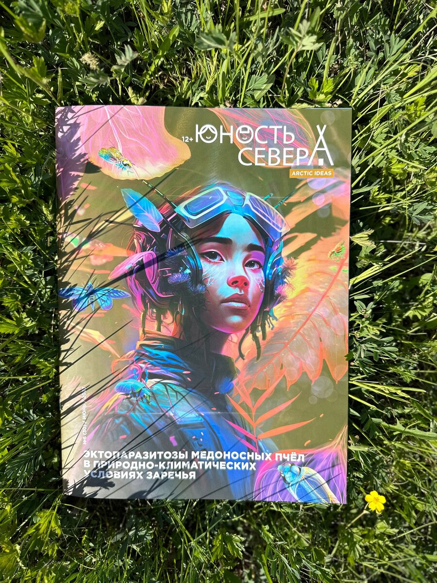 Юность севера группа. Юность севера: arctic ideas. Юность севера. Юность севера. Панки 2022.