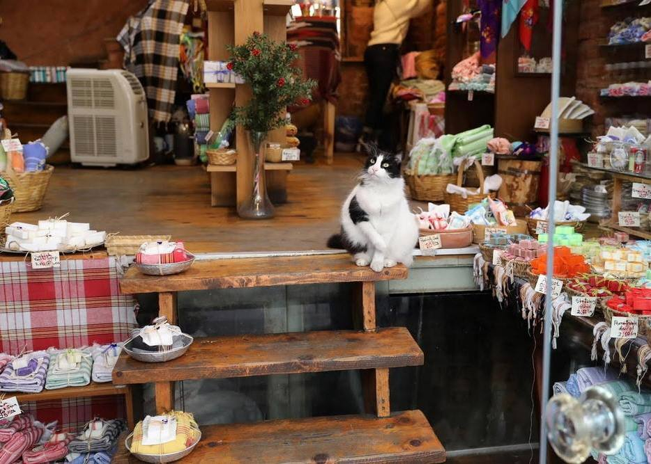 источник: stranabolgariya 