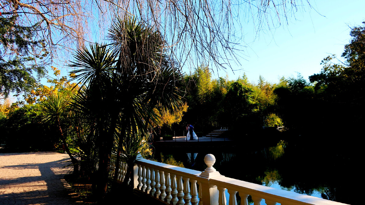 адлер просвещения надежда гостевой дом. совхоз южные культуры сочи. отель южные культуры. лоо достопримечательности. отель южные культуры.