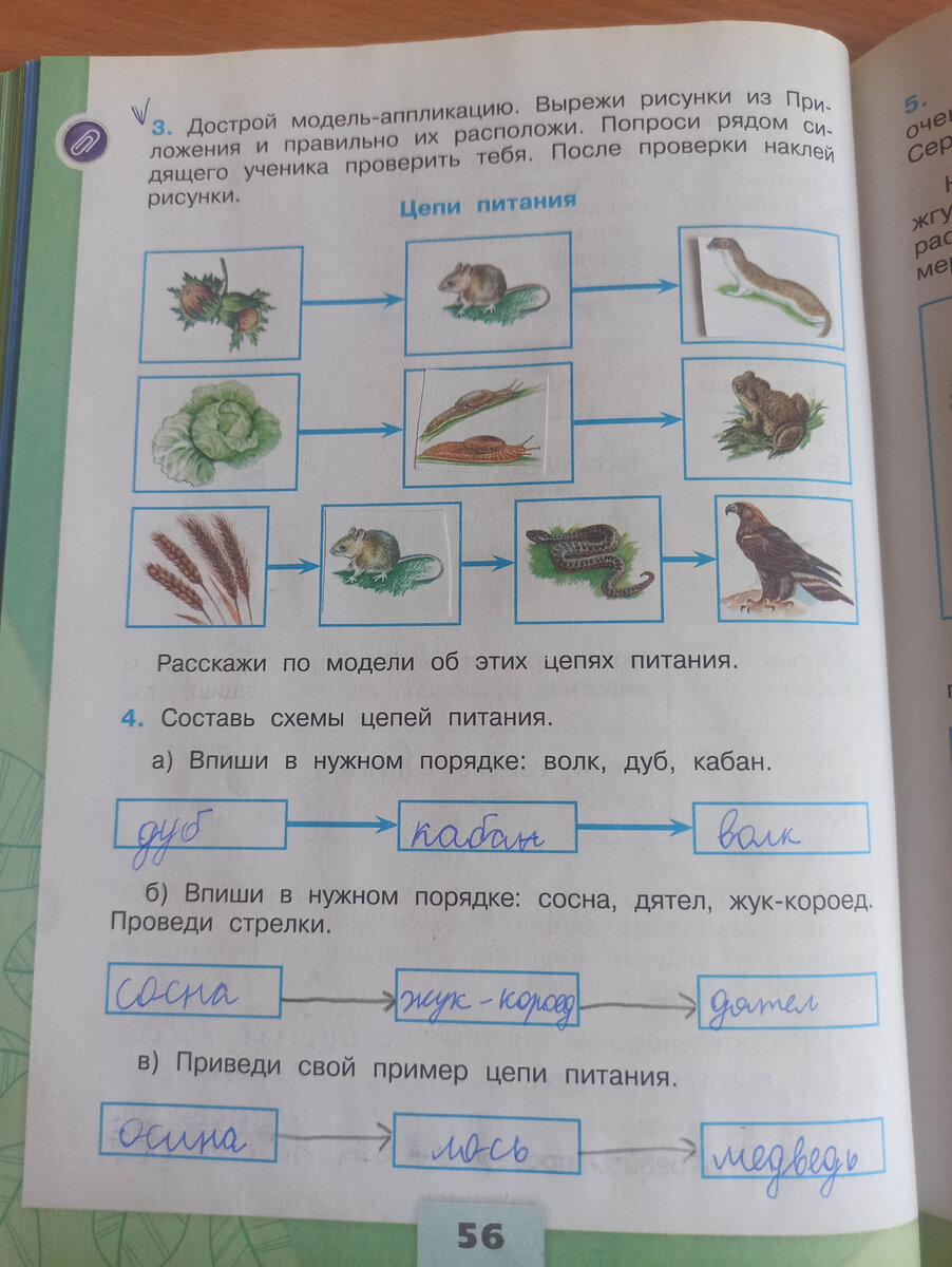 Биология. 10 класс