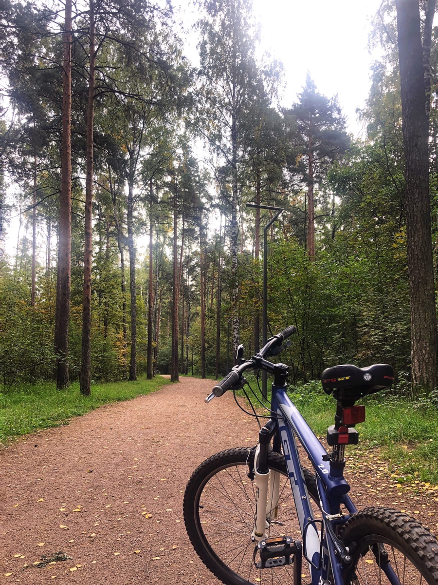 сосновка парк в санкт петербурге