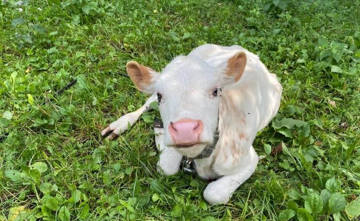    фото из архива Курских известий