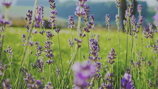                                  забрал вещи и уехал