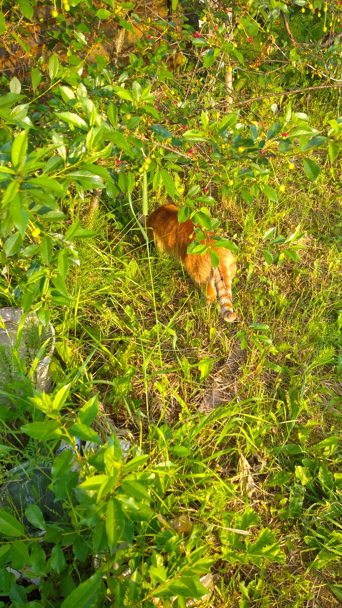 Личное  фото. 