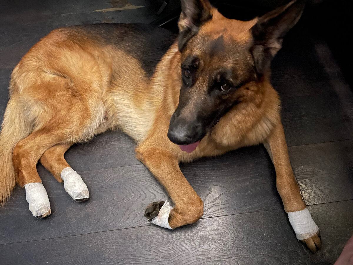 Все болит, Ксюх…