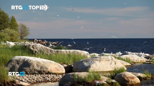 ТОП-10 туристических маршрутов по Ленинградской области