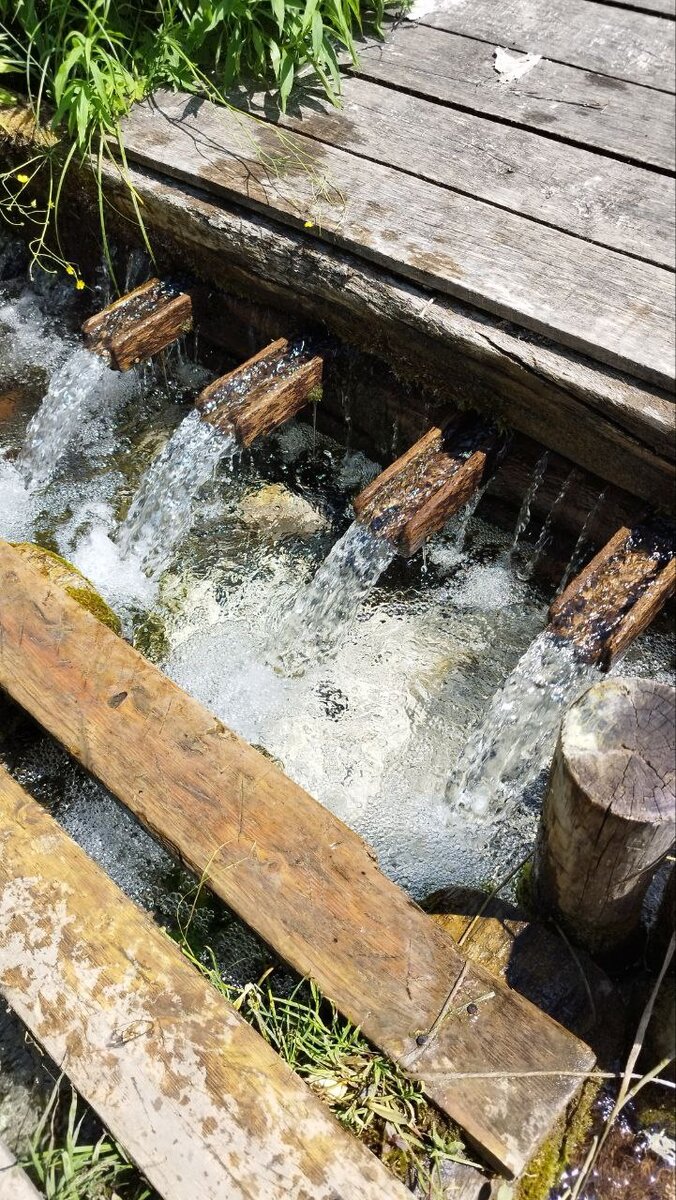 Родник с чистейшей водой