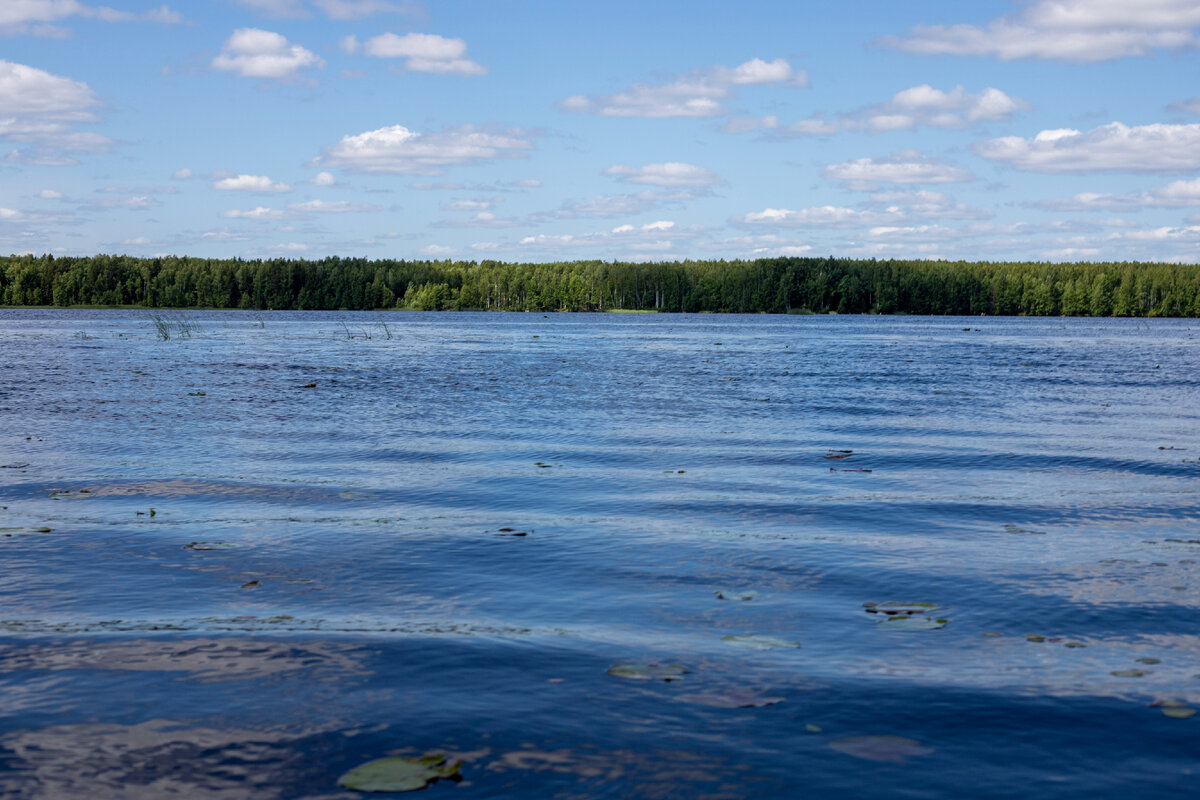 Правый берег Ветлуги после острова Змеиный