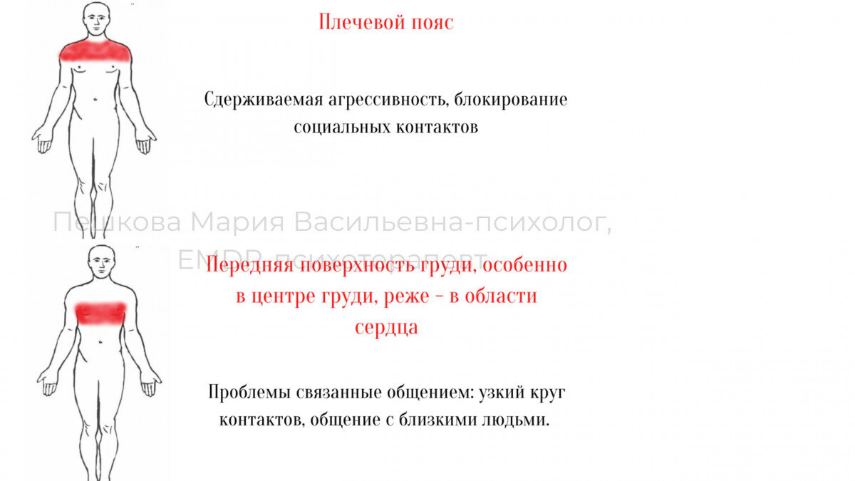 Мышечный блок. Что это такое и как его убрать? | Сайт психологов b17.ru |  Дзен