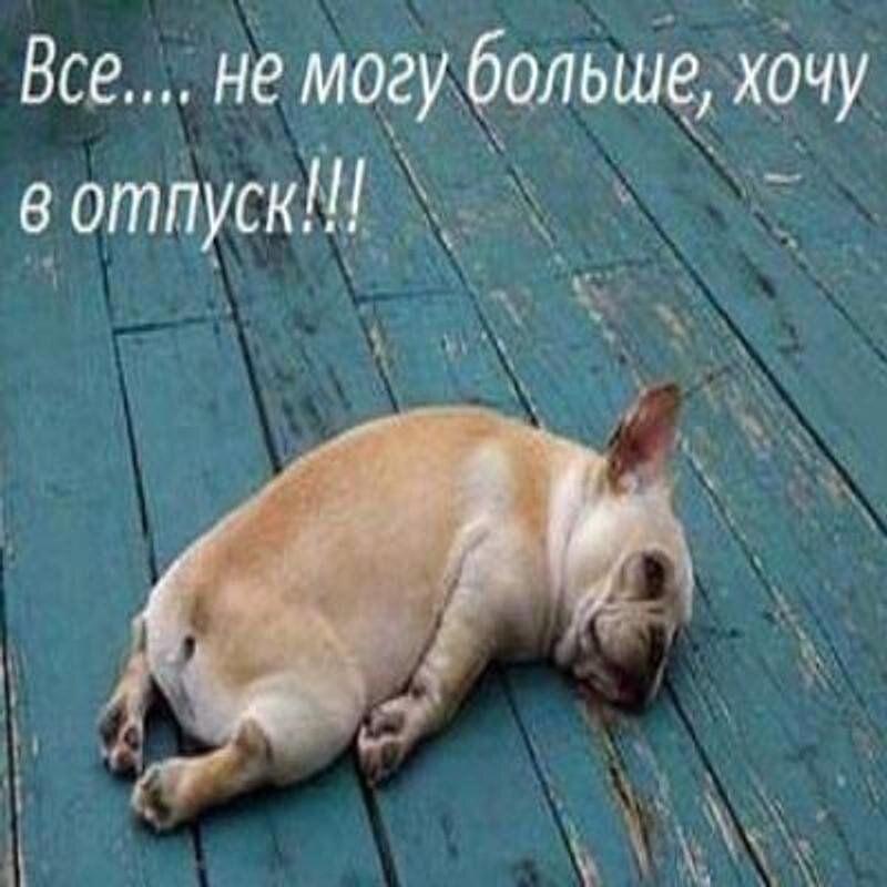 любимая картинка офисных работников 