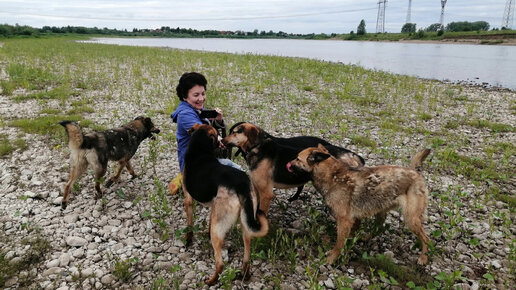 И только спустя 2 года мы можем затронуть их за носик и погладить по голове. Наши Маугли и Лада с Юми