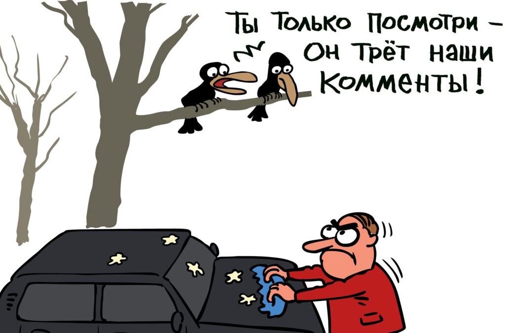 Фото из открытых источников интернета