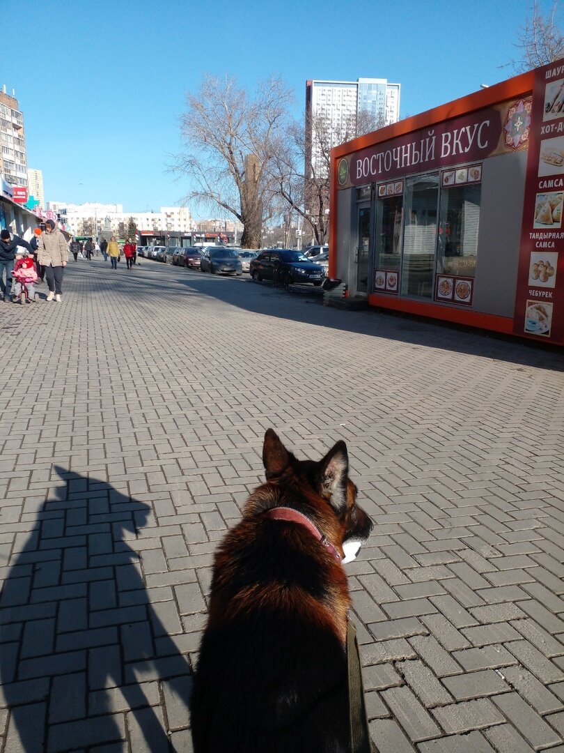 Приехали в Екатеринбург, идём от автовокзала в клинику. Надо было поставить эти фотки в предыдущую статью, но уже поздно. Пускай тут будут.  Фото автора. 
