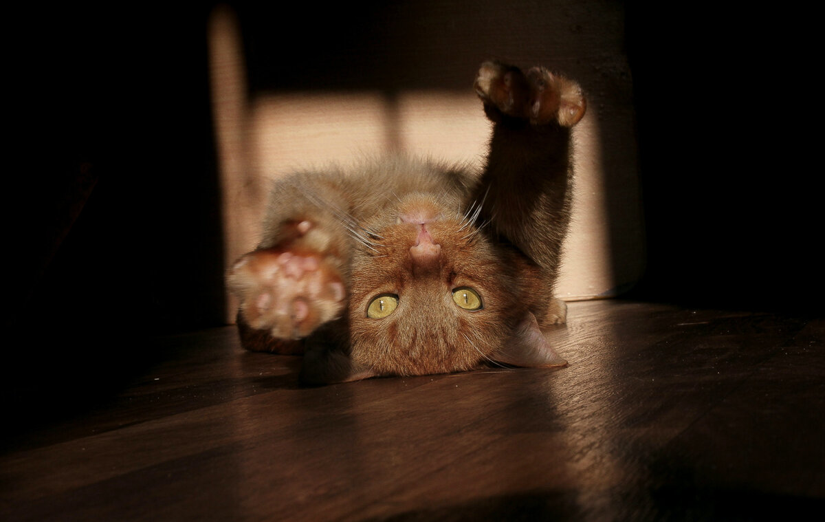 Photo by Ольга Цветцих on Unsplash