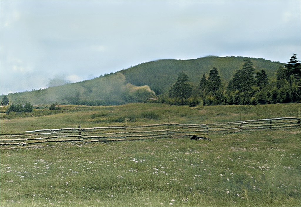 Наш паровоз вперед лети! Юж. Кузнечиха, 1964г.