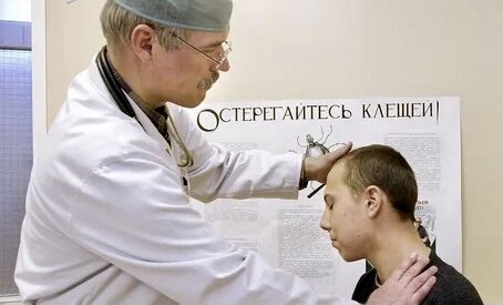 mosregtoday.ru