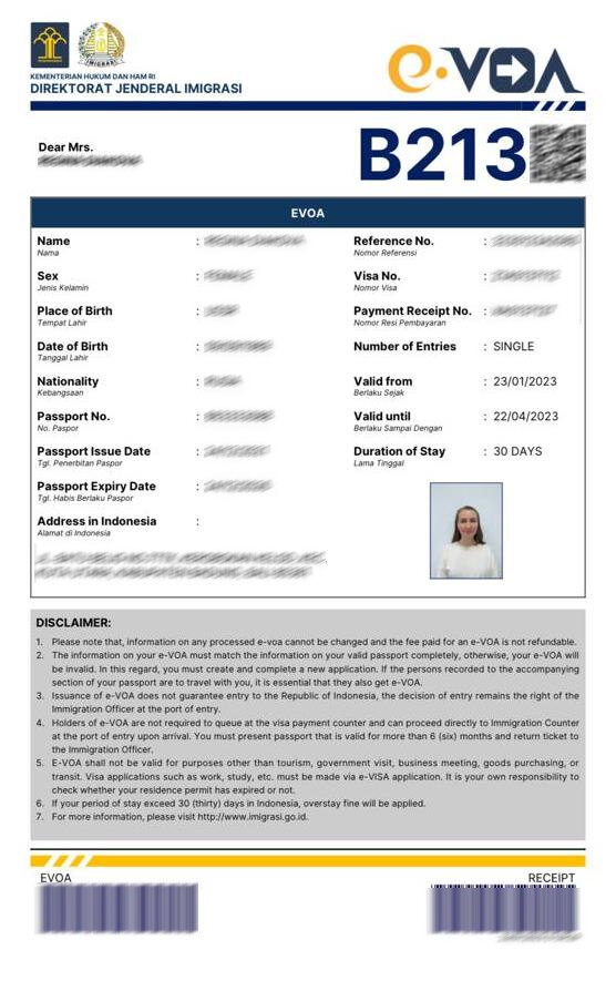 Электронная виза по прибытию E-VOA B213 