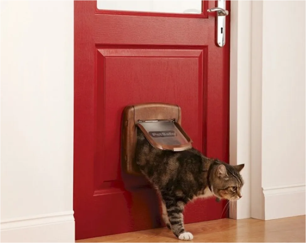 Лаз для кошки в двери – свобода перемещения животного