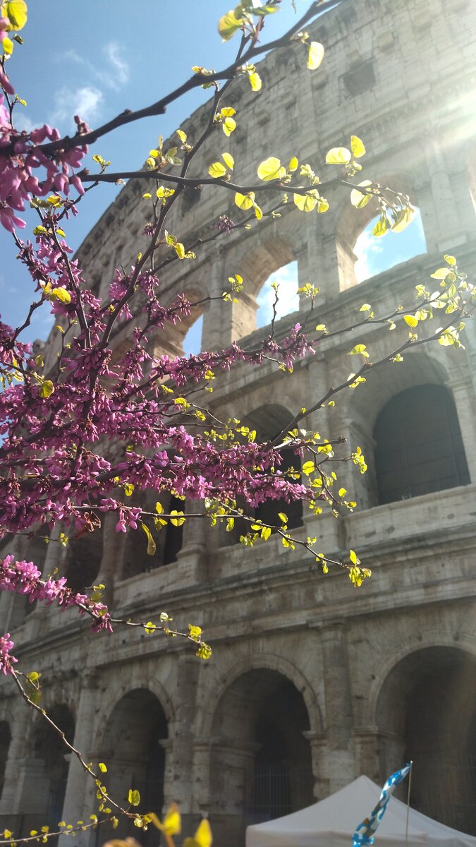 Колизей в начале апреля, фото автора 