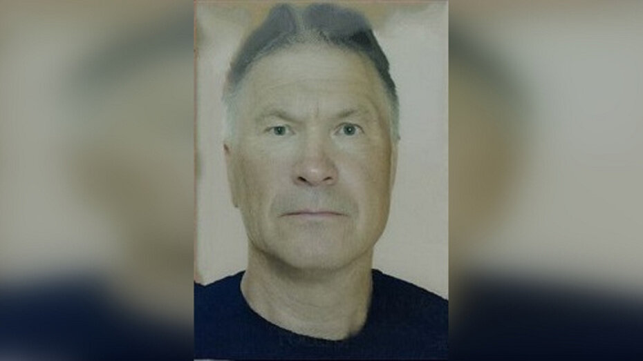    Автор фото: vk.com/liza_alert_vrn