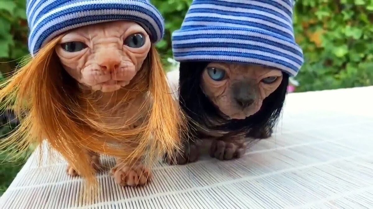 Фото: natalyland.ru