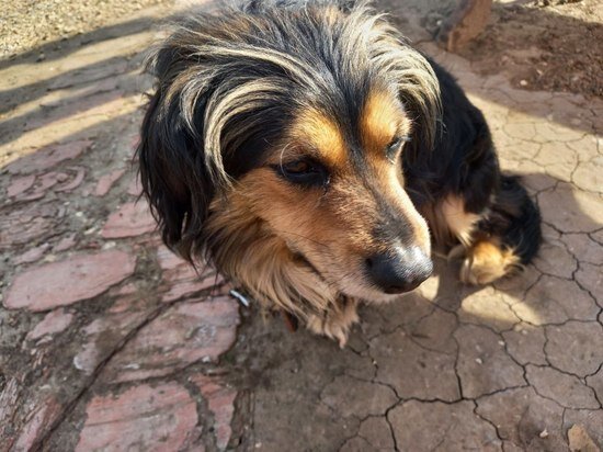     Фото: Юрий Роганов