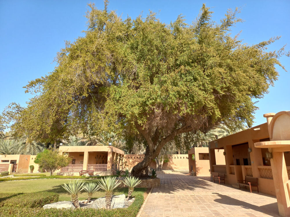 Дворец шейха Заида в городе Аль-Айн. Двор для гостей.