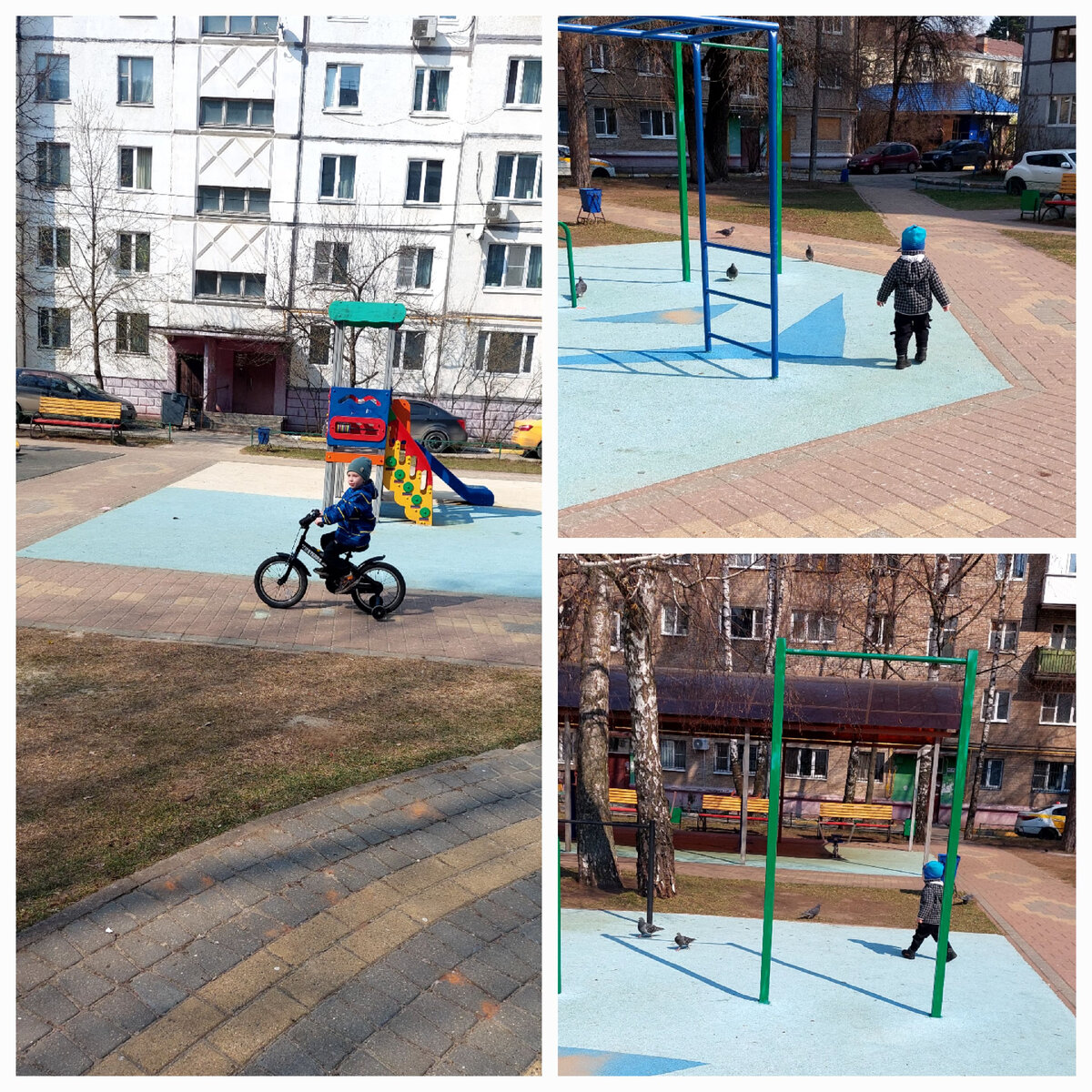 Прогулка. Миша неравнодушен к голубям😄