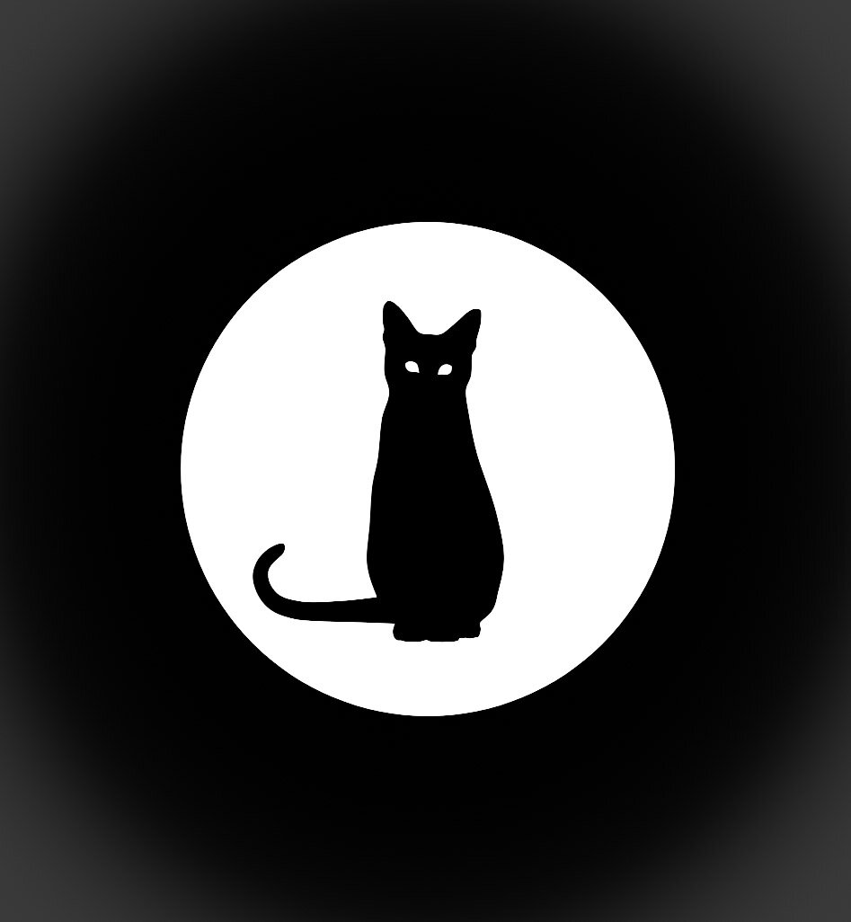 Чёрные кошки – к счастью?