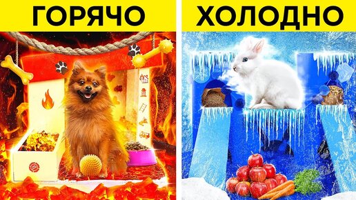 ОГНЕННАЯ СОБАКА VS ЛЕДЯНОЙ КРОЛИК! Строим домики для ЖИВОТНЫХ! Преображение от 123 GO! CHALLENGE