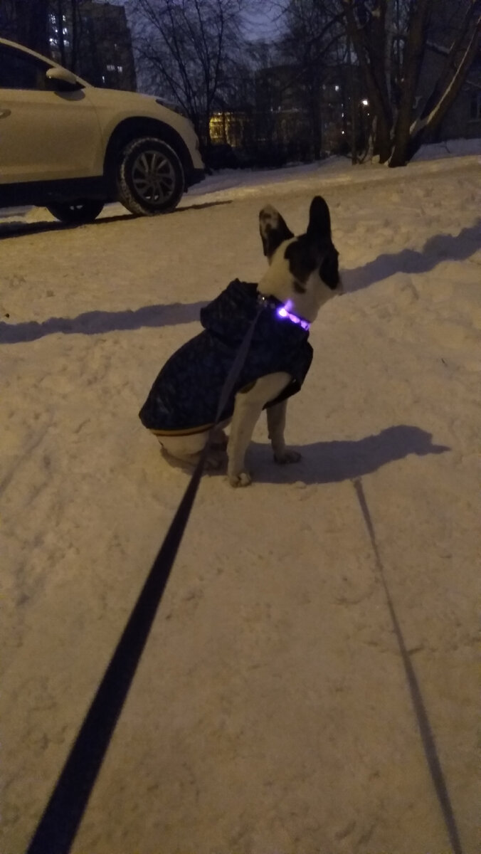 Всё, я даже не буду на тебя смотреть, пока домой не пойдём