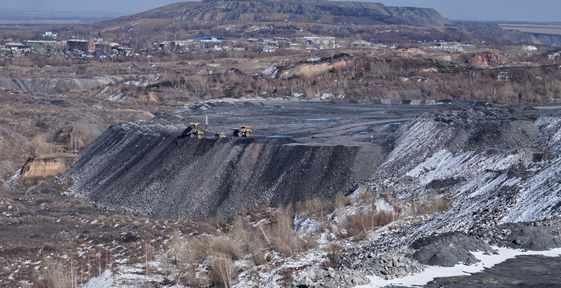    Фото: из открытого источника