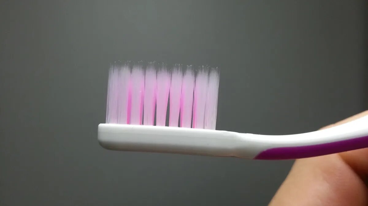 Фото: pxhere.com