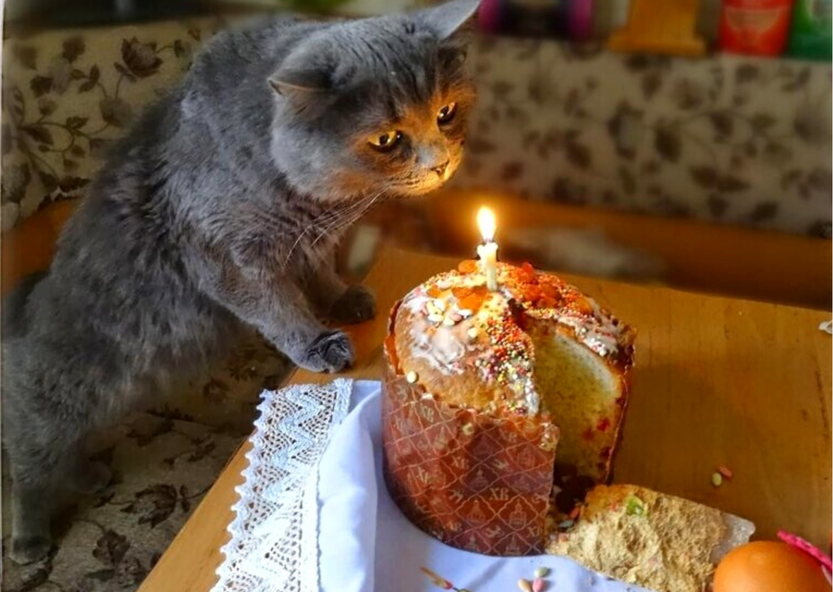 ���������� ������. ��������, ������� ���� �����. �������� ����: supersnimki.ru