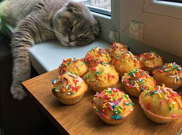 ���������� ������. ��������, ������� ���� �����. �������� ����: tunnel.ru