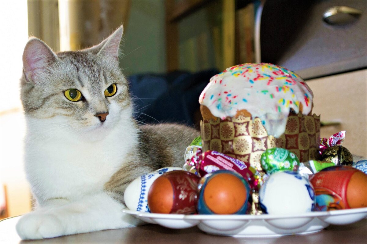 ���������� ������. ��������, ������� ���� �����. �������� ����: babyblog.ru