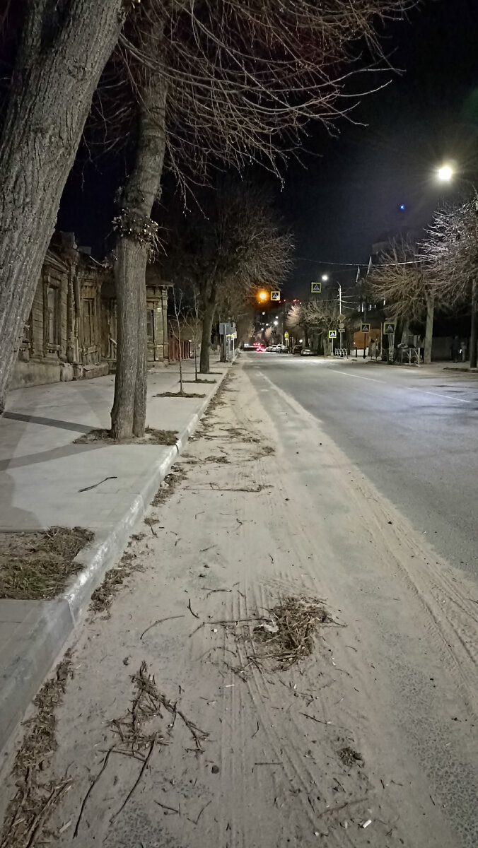 Одна из центральных улиц Рязани