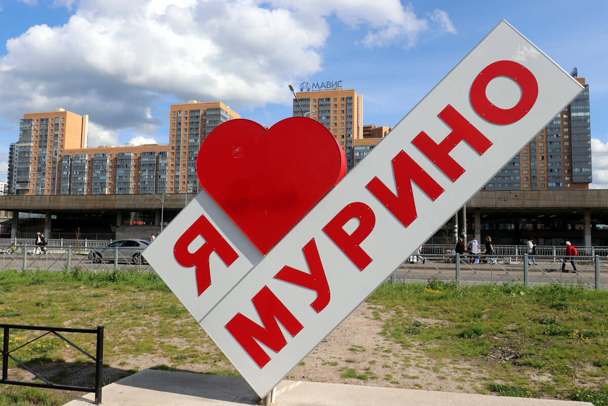 Петербург подал первую в России заявку на митинг против электронных ...