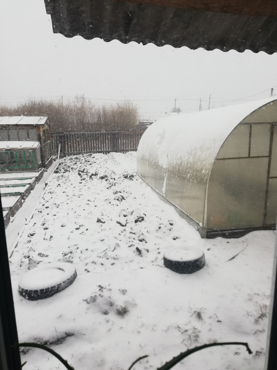 Это уже намело столько снега к обеду.