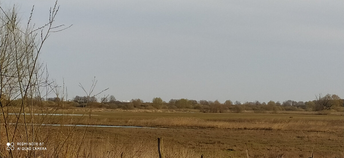 Несколько дней назад здесь была вода.