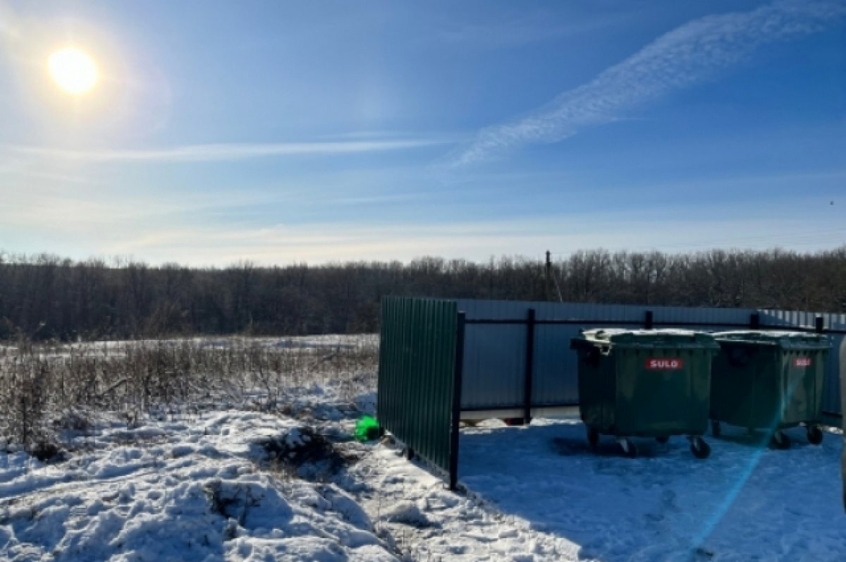    Воронежца, зарезавшего знакомого в Рождество, отправили в колонию