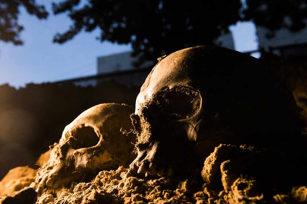 На месте планируемого ФОКа ранее были человеческие захоронения. При производстве работ, рядом были найдены вот эти черепа