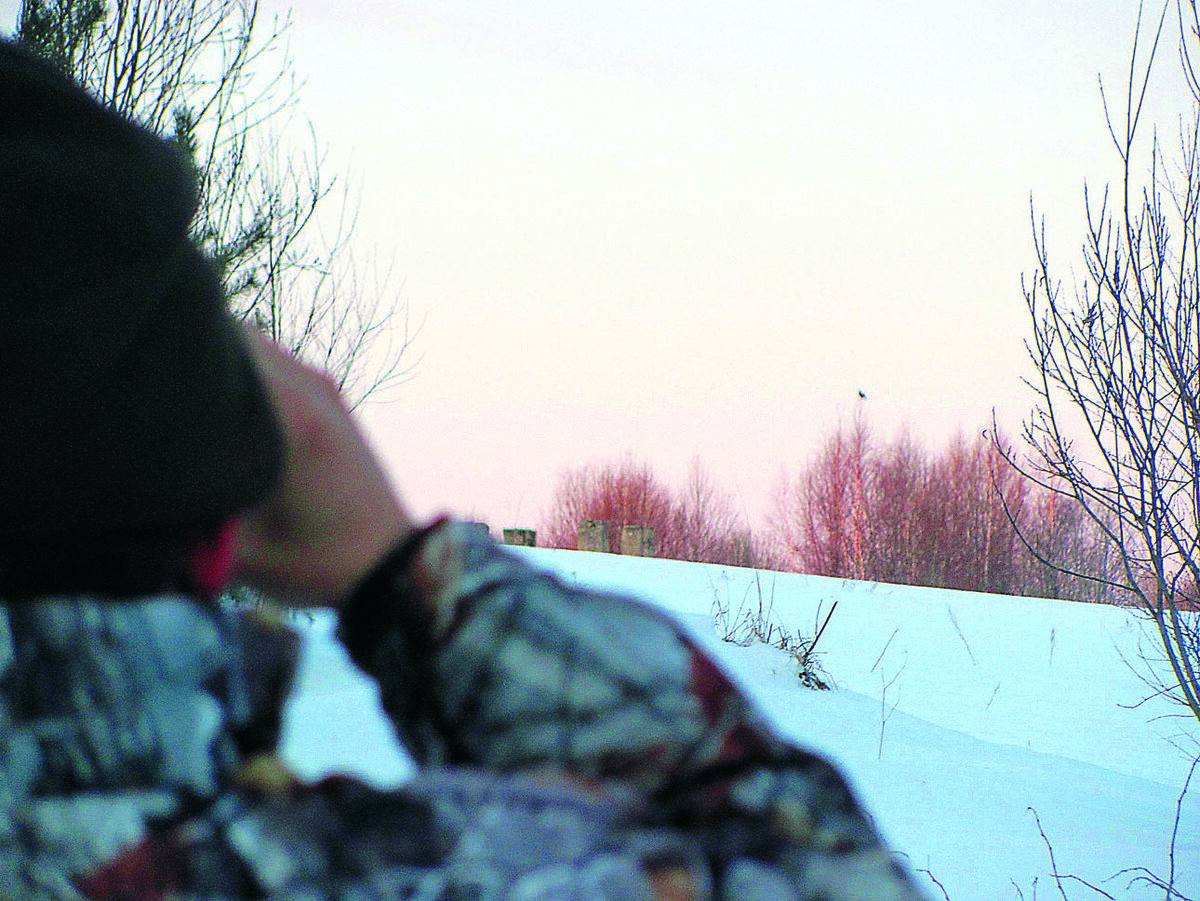     Наблюдать за тетеревами лучше в бинокль с приличного расстояния.