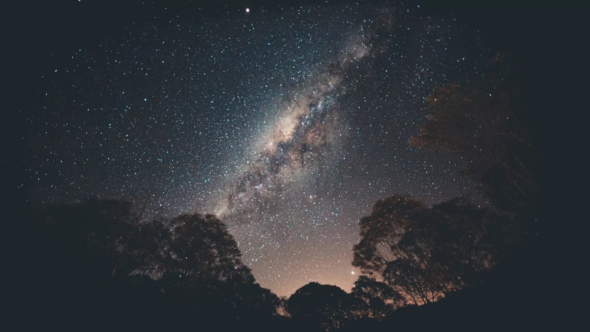 Фото: pixabay.com