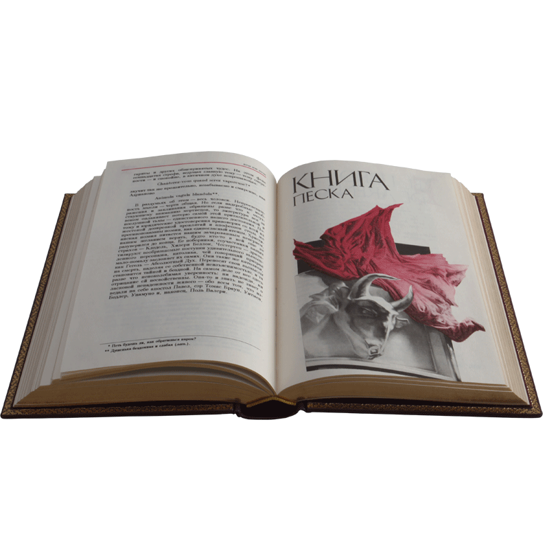 борхес книга песка. книга на песке. борхес зеркало и маска книга. книга песка борхес. борхес вымыслы.