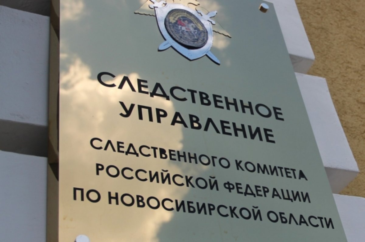    Мать двоих детей могла замерзнуть насмерть на улице в Новосибирской области
